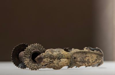 Gilt Bronze Tea Roller, Tang Dynasty (618-907)
