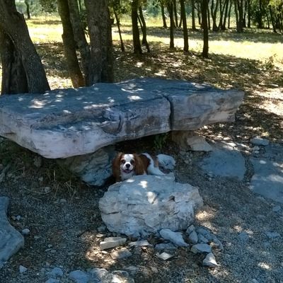 au cours des balades, à la recherche du moindre coin d'ombre