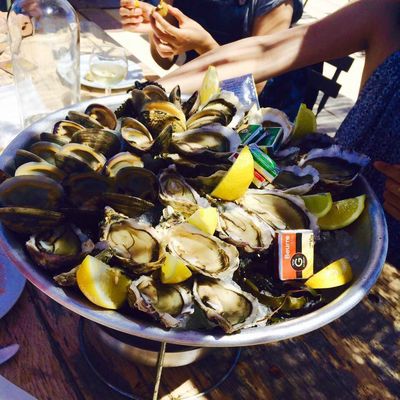 Au bord de la mer