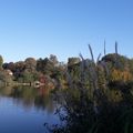 Ciel bleu comme l'eau... à moins que ce soit le