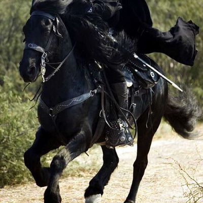 Zorro avait Tornado ... Moi j'ai Surly Disc Trucker , mon futur nouveau fidèle compagnon...