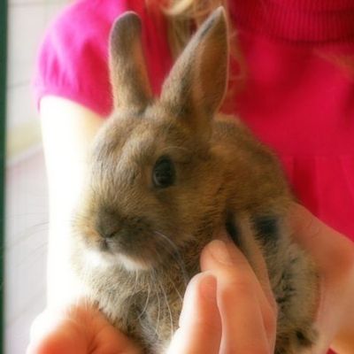 Lovely: ma petite bulle d'amour ^o^