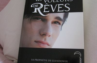 La prophétie de Glendower tome 2 : les voleurs de rêves - Maggie Stiefvater