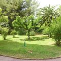 photos balcon et vue jardin