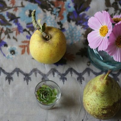 Dedans-dehors de novembre