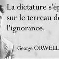 Le triomphe de la stupidité