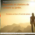 👨‍🌾 Octobre en proverbes et citations au jardin. Paysagiste Pays Basque Paysagiste Landes.