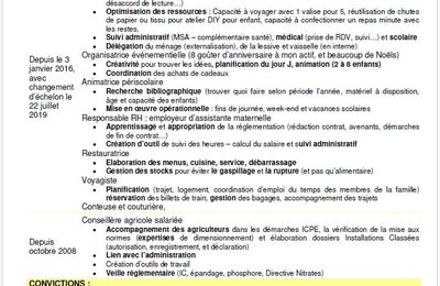 Mon CV de Maman, mais pas que ...