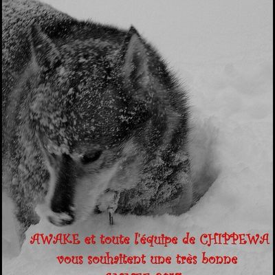 Bientôt 2014    /     Soon  2014 