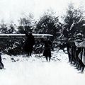 les soldats fusillés pour l’exemple pendant la guerre 1914-1918, conférence à Avranches vendredi 15 mars 2019