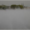 C'était l'heure du brouillard sur la mare à canard