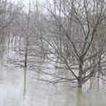 Crue de la Seine et de la Marne à Alfortville: Alerte inondation