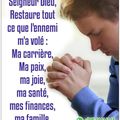 Seigneur Dieu, Restaure tout ce que l'ennemi m'a volé : ma carrière, ma paix, ma joie, ma santé, mes finances ou ma famille. 