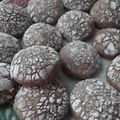 Petits biscuits au chocolat