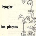 Imagier :légumes et plantes 