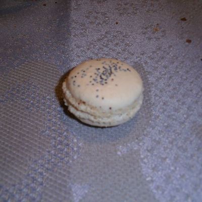 MACARON
