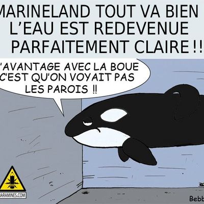 La réalité en face !!