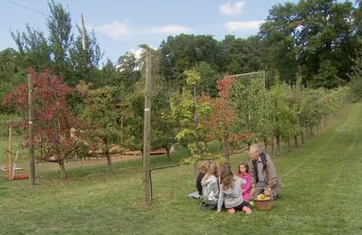 « Le goût de la maraude » La redécouverte d'anciennes variétés de fruits