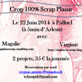 crop scrap plaisir du 22 juin