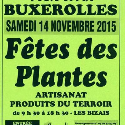 EXPO A LA FETE DES PLANTES
