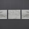 Triptyque au cygne, Swan triptych