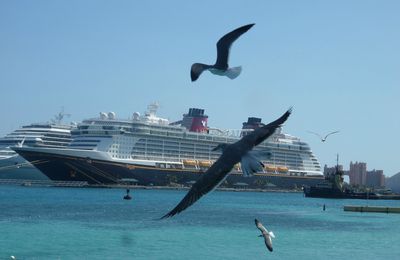 Les Bahamas #3 : derrière la carte postale ....