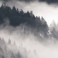 L'hiver entre ciel et terre