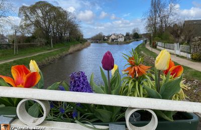   Calme et détente au dessus du canal à Combleux