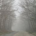 Boigny-sur-Bionne dans le brouillard