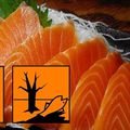 Saumon : la Norvège reconnaît que son poisson est dangereux pour la santé