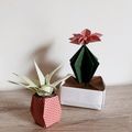 Origami - Succulentes en pot