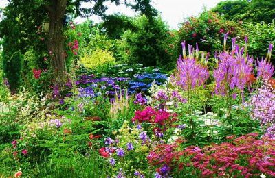 Vive le printemps! Période idéale pour les plantations! 