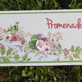 Album "Promenade"
