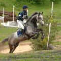 Concours Complet d'Equitation ou CCE