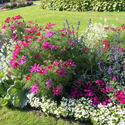 Trädgårdsföreningen