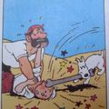 Tintin n'aurait jamais dû traiter le capitaine de fils de chien