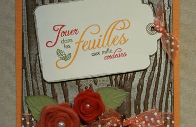 Pas à Pas Photos (Scrapinath) 