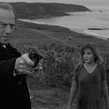 La Fleur de l'Age (Rapture) (1965) de John Guillermin