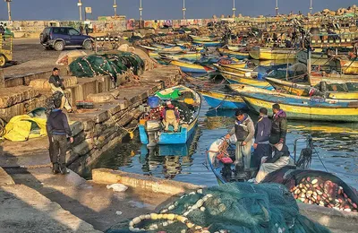 !!Génocide 0 gaza: J 652!! Une énièe illustration du sadisme pathologique du régime terroriste israélien