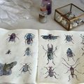 Insectes cosmiques -tuto dessin-