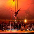 Séjour cirque et équitation