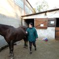 Equitation cet après midi au club hippique de Gouvernes