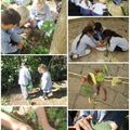 Atelier permaculture Maison des Enfants 19 09 2024