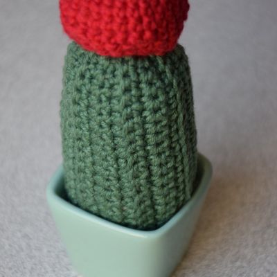 des CACTUS au crochet qui ont du piquant !