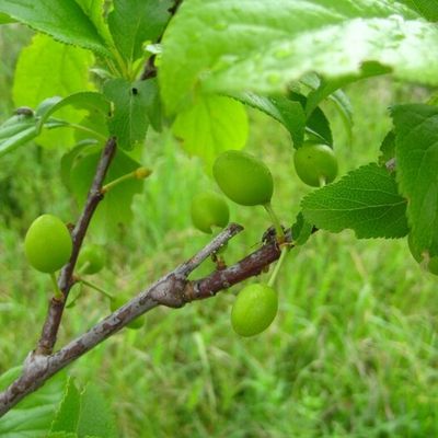 Il pleut, il mouille 