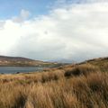 Week 2: Achill Island - En haut de la montagne