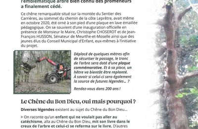 JDM n°53 mai- juin 2023