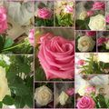 Rose, Roses, Mes Roses