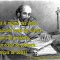 Âmes - science - prudence - patience - François de Sales (Citation)