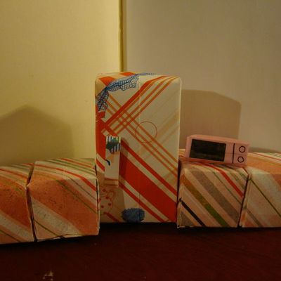 la maison des playmobiles